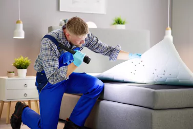 Bedbug Control Surrey Hills
